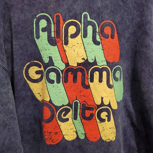 Preowned Alpha, Gamma, Delta Sorority Blue Denim Colored Hoodie Womens SZ Large - Picture 4 of 4